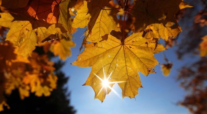 ������� �����������