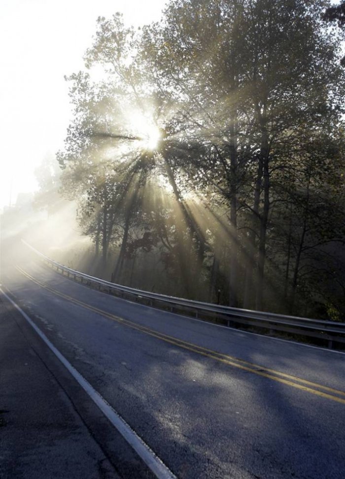 ������� �����������