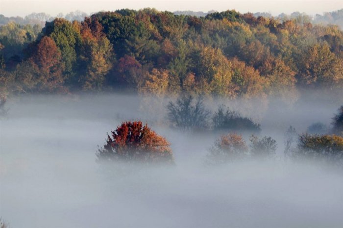 ������� �����������