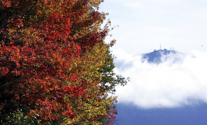 ������� �����������