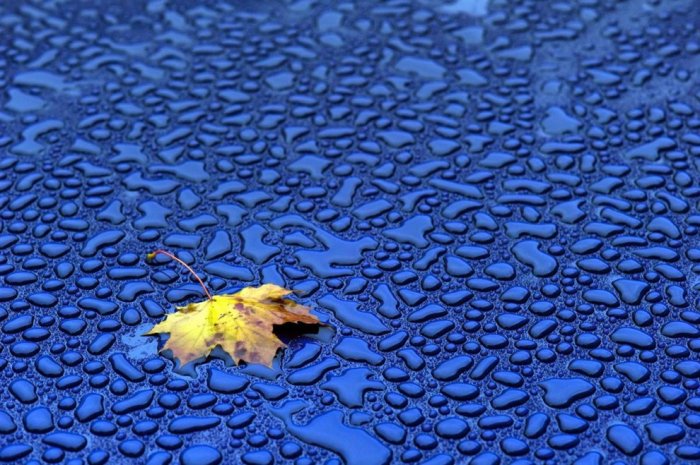 ������� �����������