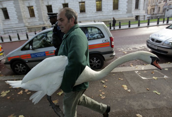 Фотоподборка дня: 20 октября Фотоподборка дня: 20 октября