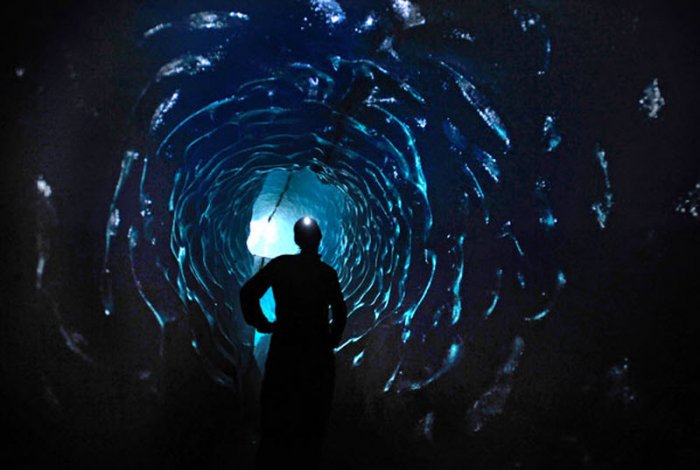 Подо льдом Подо льдом