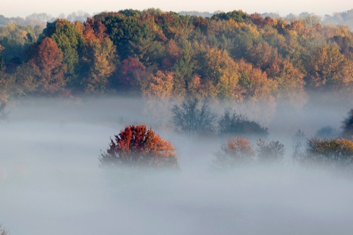 ��������� ����� ����