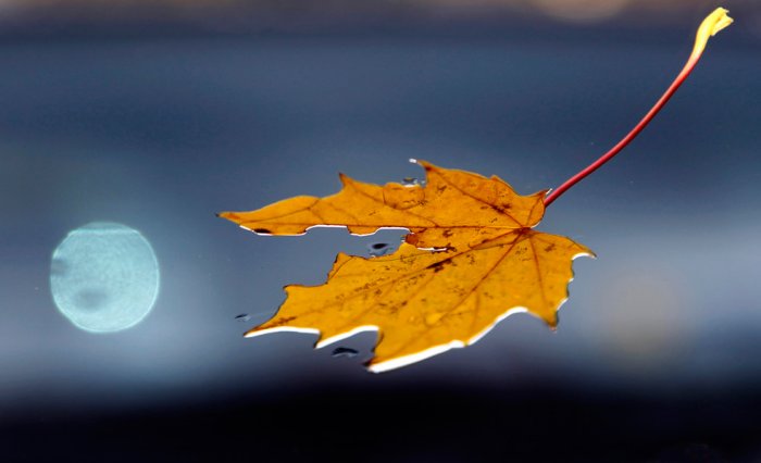 ��������� ����� ����