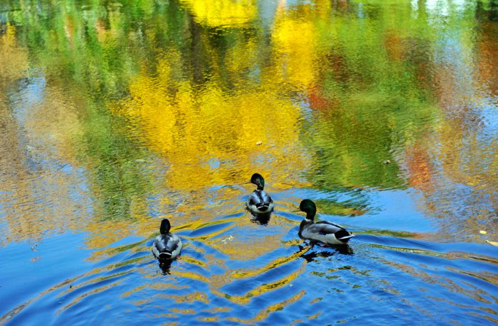 ��������� ����� ����