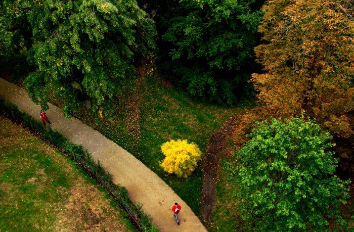 ��������� ����� ����