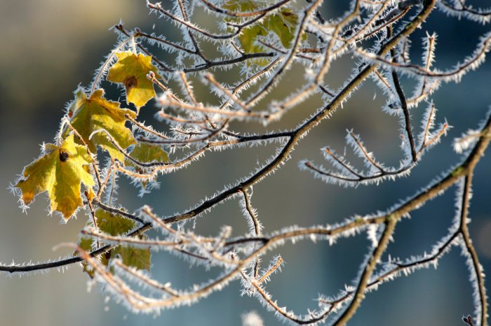 ��������� ����� ����