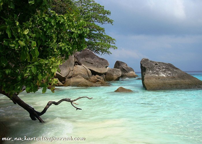 ����������� ������� �� ��������