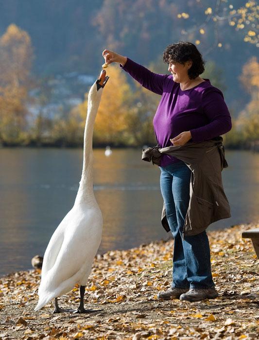 Фотоподборка дня: 4 ноября Фотоподборка дня: 4 ноября