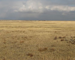 ����������� ��������� �������� ������� ������������� �����