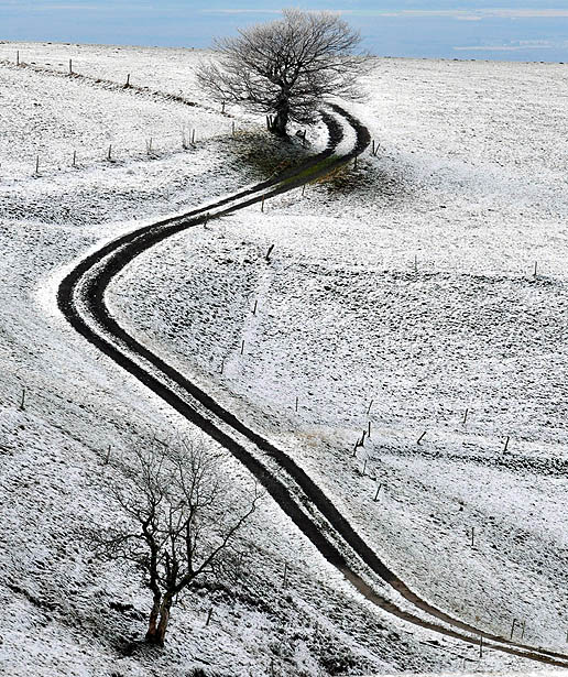 Фотоподборка недели: 7-13 ноября Фотоподборка недели: 7-13 ноября