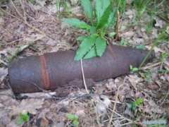 � �������-������������� ������� ����������� 8 ����������� ����