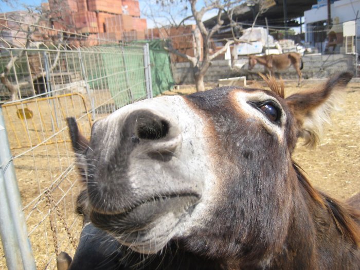 10 ����������� ��������