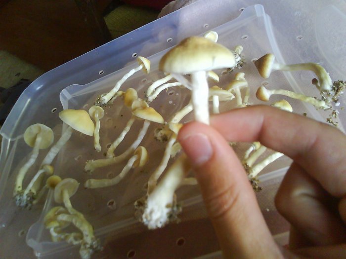 10 ����������� ��������