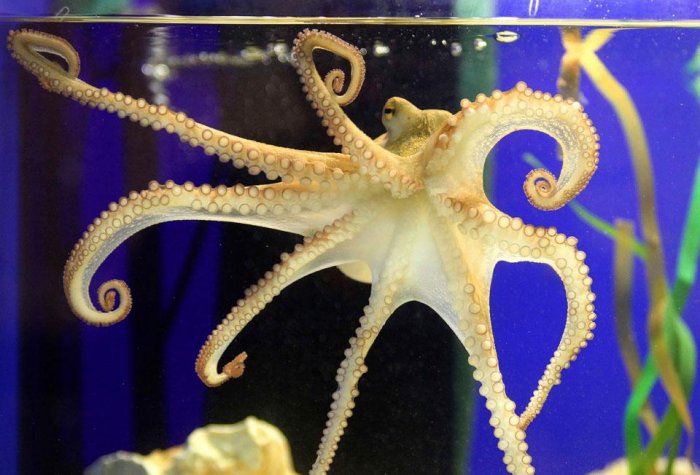 Фотоподборка дня: 4 ноября Фотоподборка дня: 4 ноября