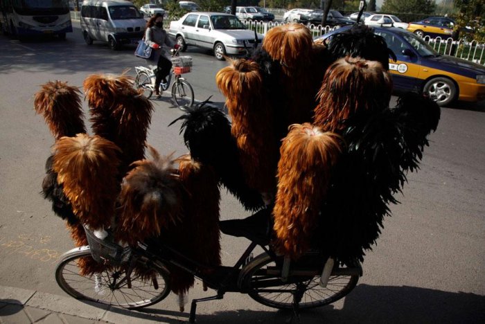 Фотоподборка дня: 4 ноября Фотоподборка дня: 4 ноября