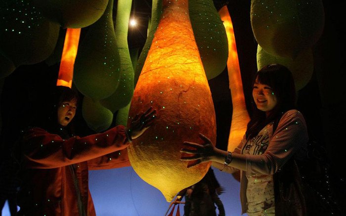 Фотоподборка дня: 8 ноября Фотоподборка дня: 8 ноября