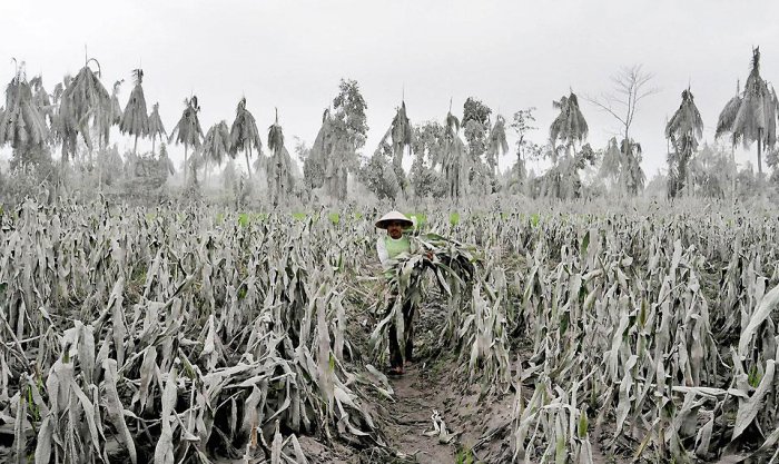 Фотоподборка дня: 9 ноября Фотоподборка дня: 9 ноября