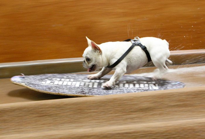 Фотоподборка дня: 9 ноября Фотоподборка дня: 9 ноября