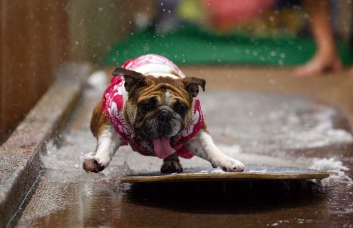 ������ �������� ��� �����