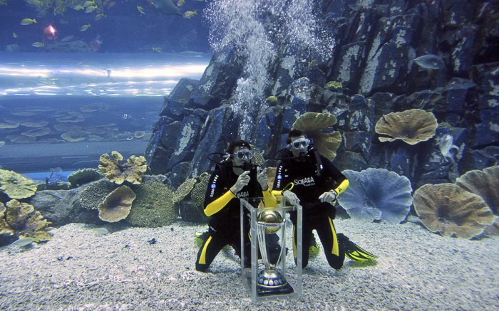 ����� ������������� �����