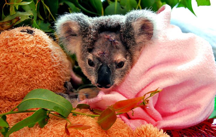 Фотоподборка недели: 7-13 ноября Фотоподборка недели: 7-13 ноября