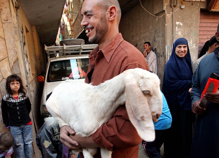 Фотоподборка недели: 7-13 ноября Фотоподборка недели: 7-13 ноября