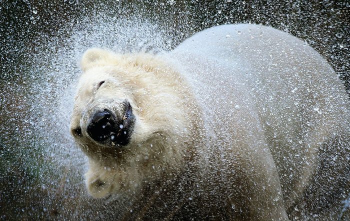 Фотоподборка недели: 7-13 ноября Фотоподборка недели: 7-13 ноября