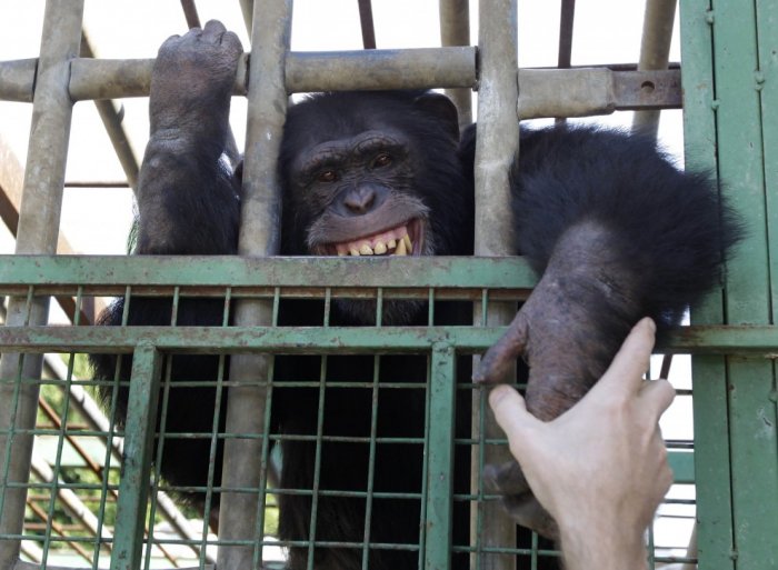 Фотоподборка недели: 7-13 ноября Фотоподборка недели: 7-13 ноября