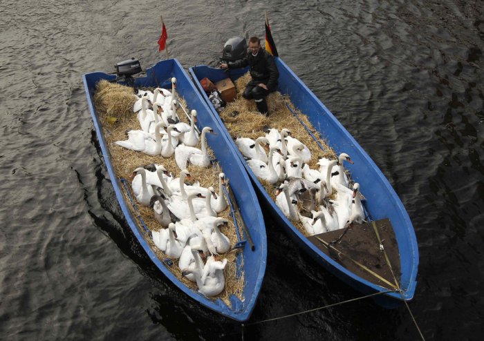 Фотоподборка дня: 16 ноября Фотоподборка дня: 16 ноября