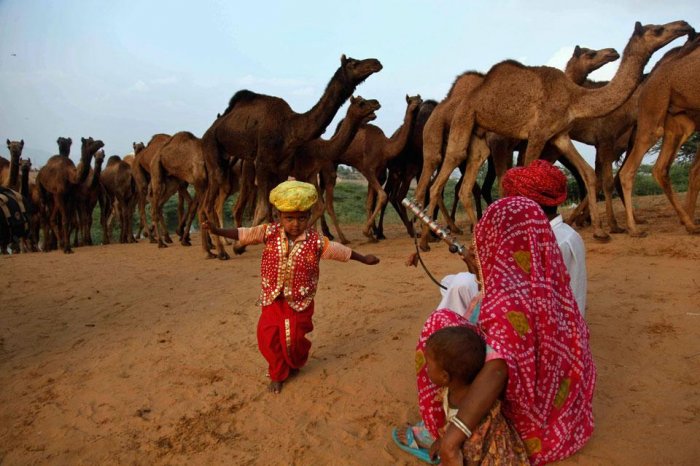 Фотоподборка дня: 16 ноября Фотоподборка дня: 16 ноября