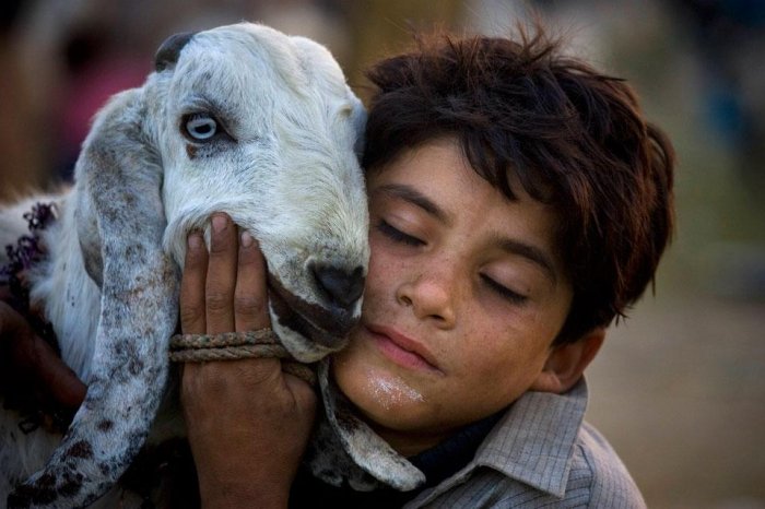 ������������ ���: 16 ������