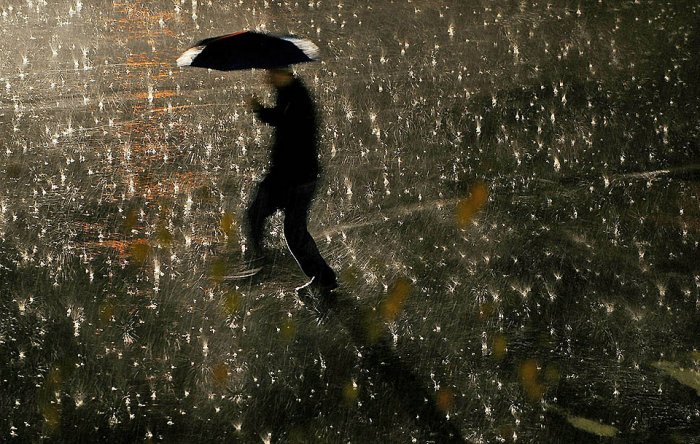 Фотоподборка дня: 23 ноября Фотоподборка дня: 23 ноября