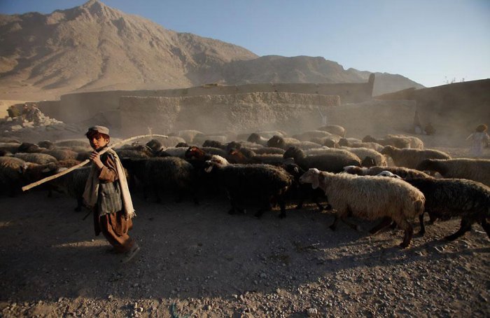 Фотоподборка дня: 23 ноября Фотоподборка дня: 23 ноября