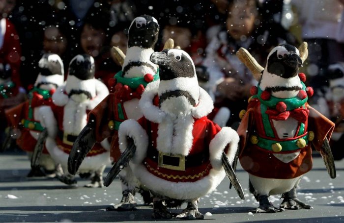 ������ ���� �������