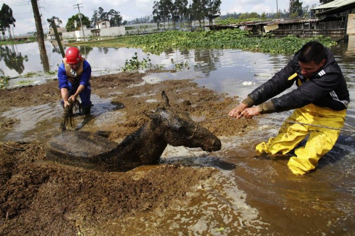 ������ ���� �������