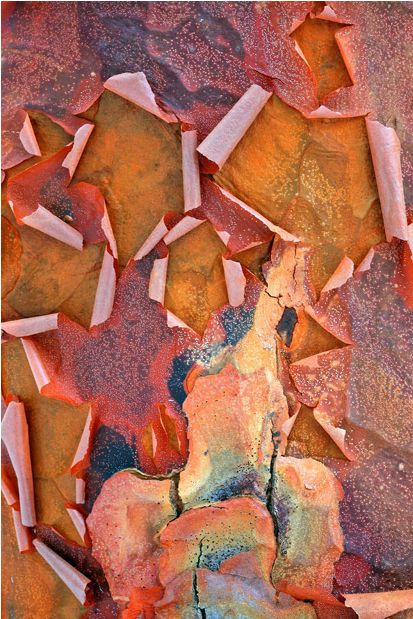 ��������� ���� ������� ��������