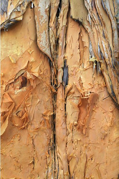 ��������� ���� ������� ��������