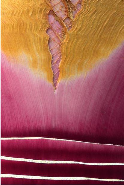 ��������� ���� ������� ��������