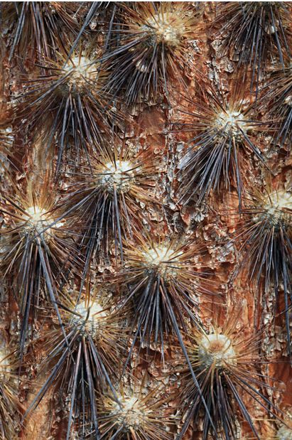 ��������� ���� ������� ��������