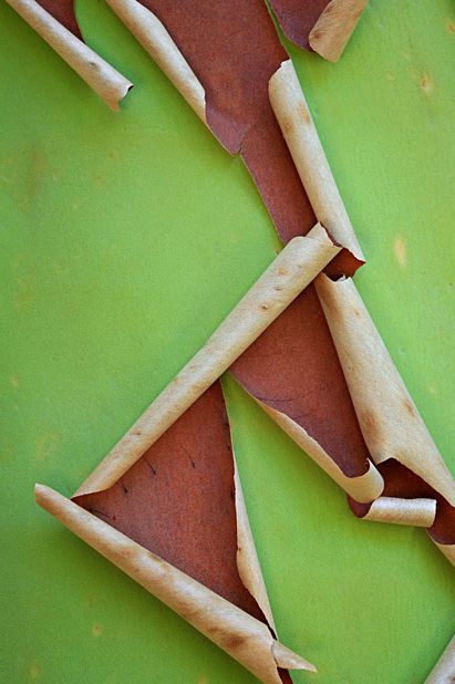 ��������� ���� ������� ��������