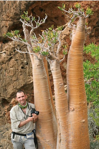 ��������� ���� ������� ��������