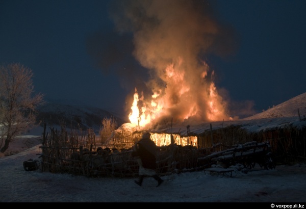 ���� ����� �������