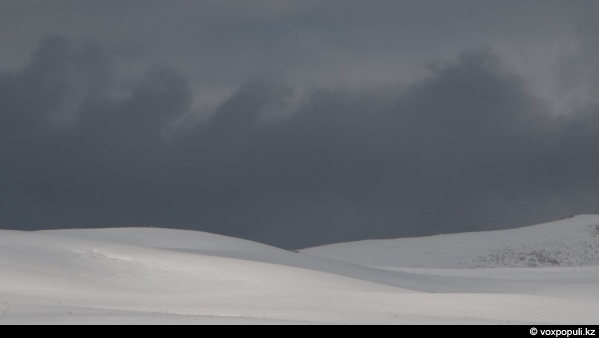 ���� ����� �������