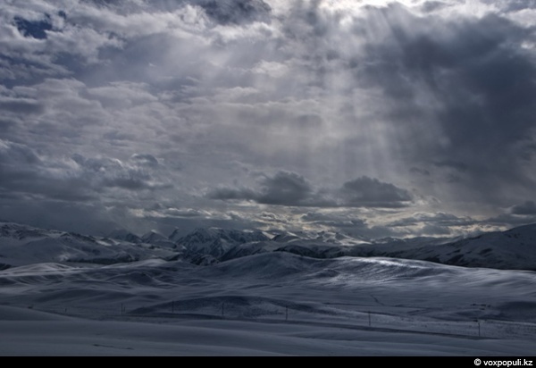 ���� ����� �������