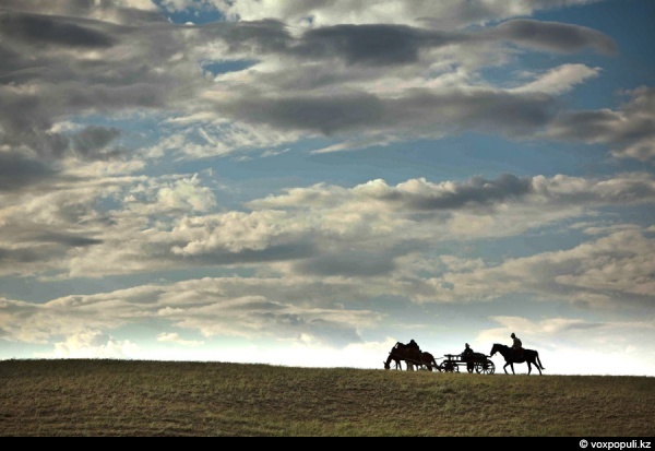 ���� ����� �������