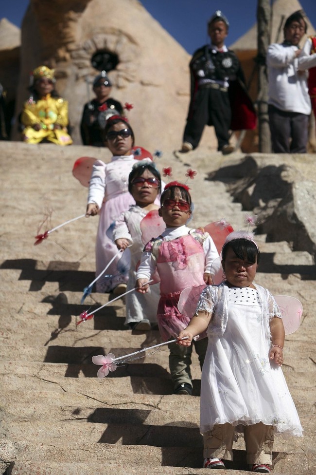 ������ ���������