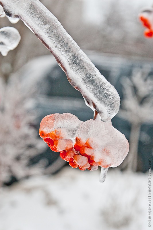 Ледяной дождь в Москве Ледяной дождь в Москве