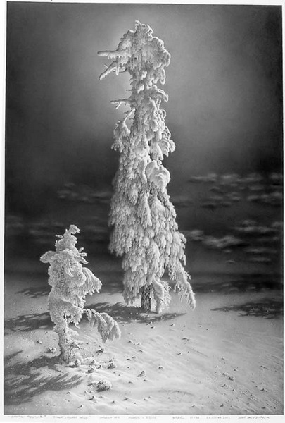 ������� ���������� ������ �������������